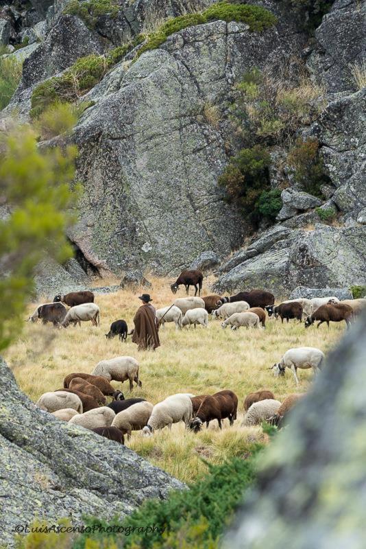 Senhora Da Estrela Al Leilighet Seia Eksteriør bilde